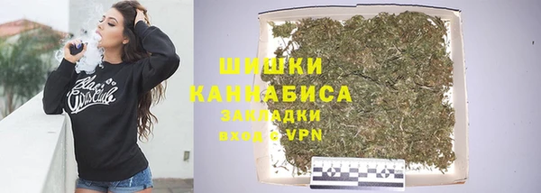 гашик Бородино