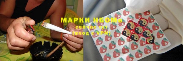 гашик Бородино