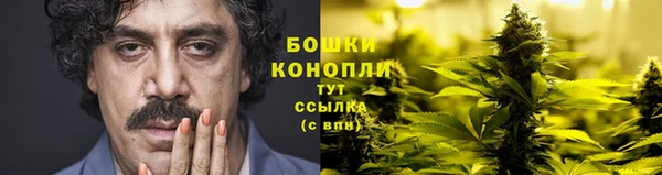 гашик Бородино