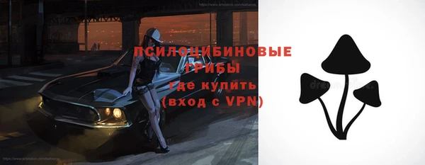 гашик Бородино