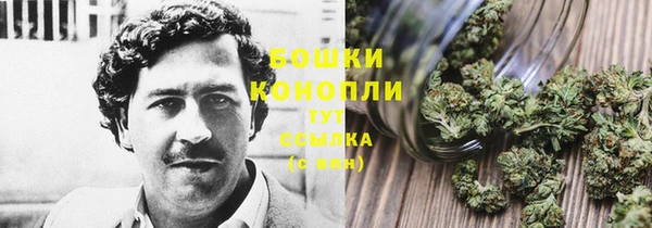 apvp Бугульма