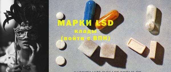 гашик Бородино