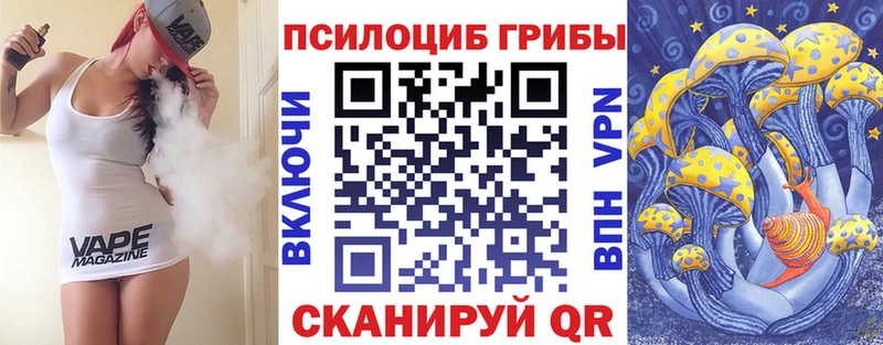 Купить закладки  Гагарин  Галлюциногенные грибы прущие грибы 